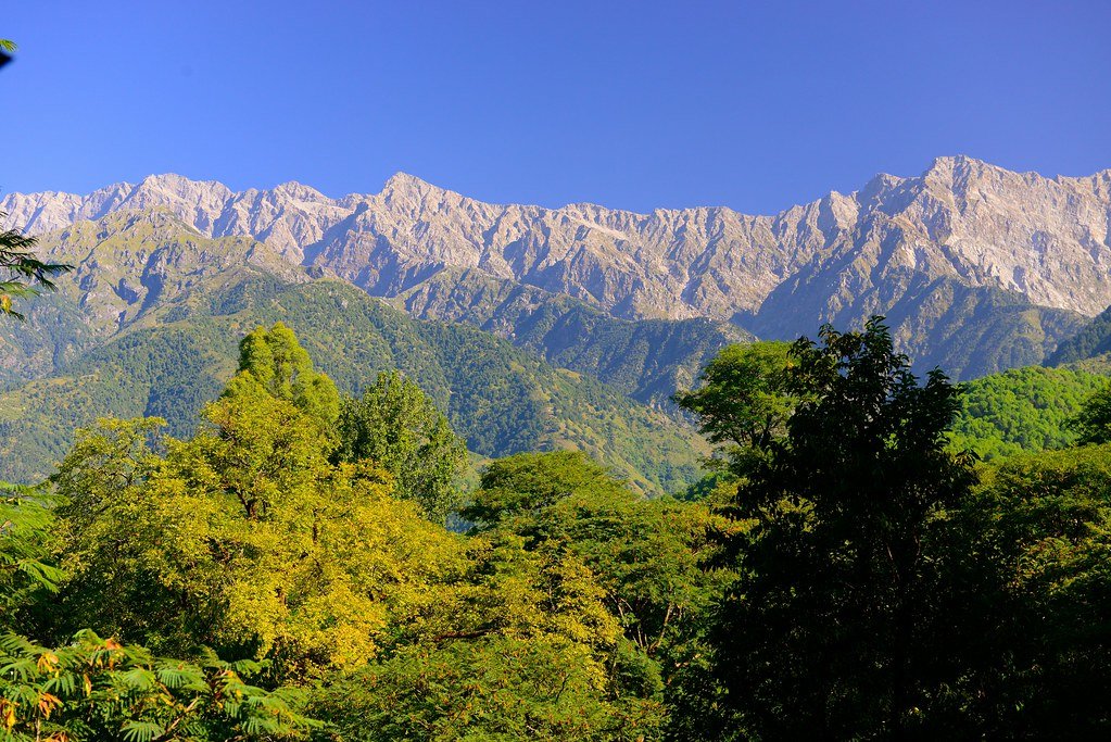 Whispers of the Dhauladhars: Triund Trek