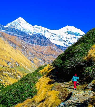 Pindari Glacier High-Altitude Trek